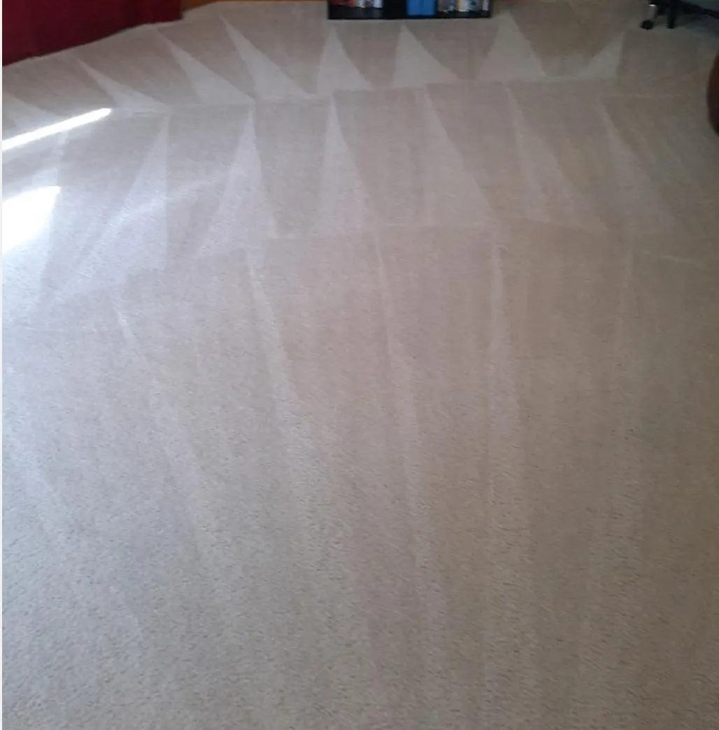 Carpet Cleaning in Cleveland, OH - Arslanian Brothers